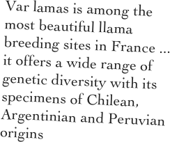 Var lamas is among the most beautiful llama breeding sites in France ... it offers a wide range of genetic diversity with its specimens of Chilean, Argentinian and Peruvian origins